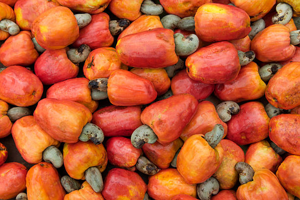 Cashew Nuts